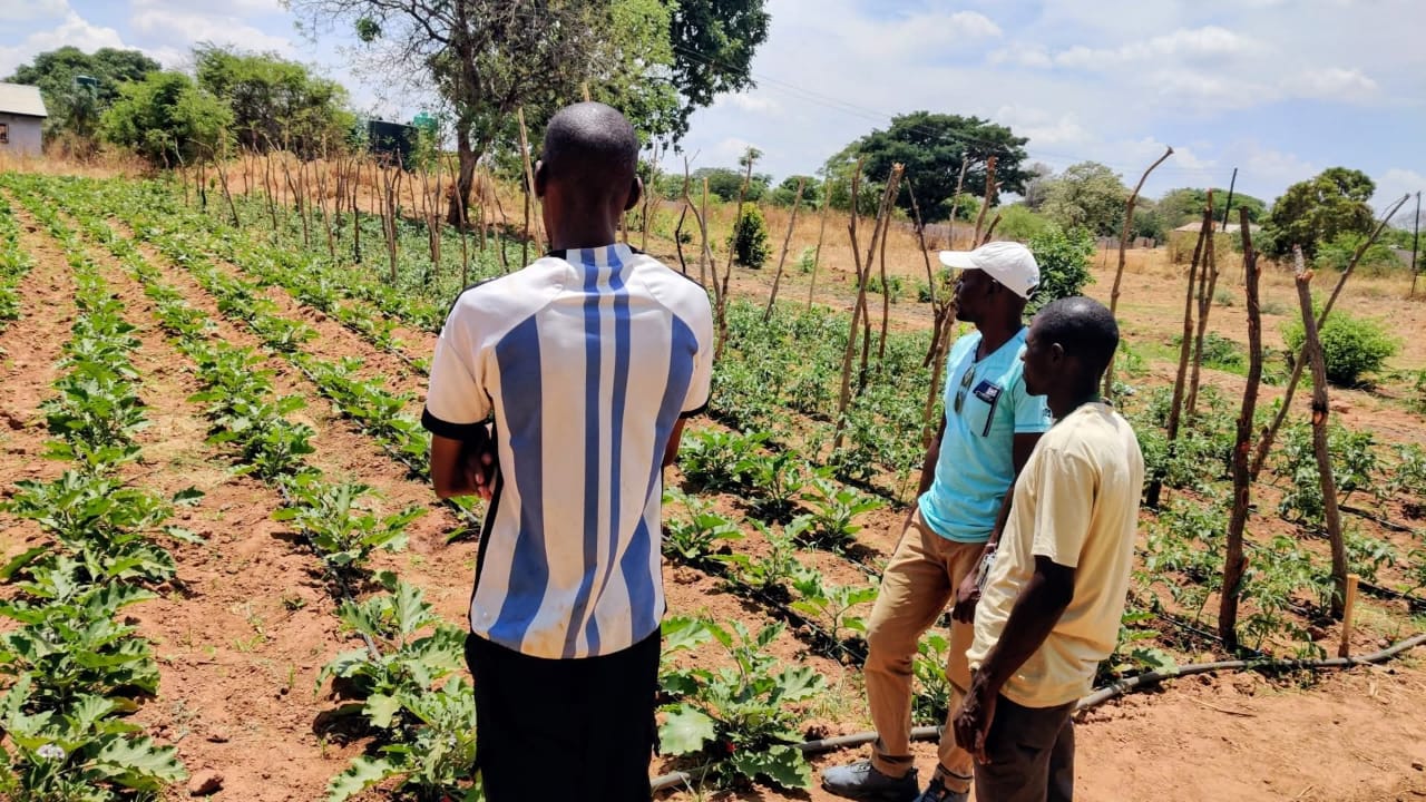Students learning irrigation and market gardening
